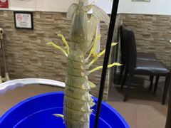 -凤城礼记鱼翅海鲜酒家(新马路总店)