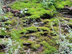 -青龙山生态文化旅游区(慈云寺)