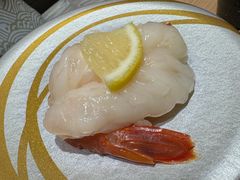 -大起水产回转寿司(道顿堀店)