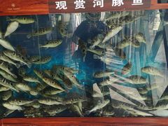 -肆月河豚·新淮扬(金融街店)