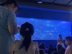 -重庆欢乐海底世界