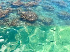 -三亚西岛海洋文化旅游区