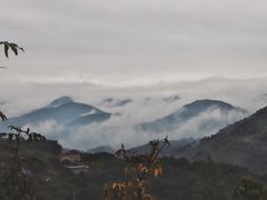 -峡谷农家乐饭店