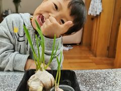 -徐汇区陇龙幼稚园