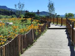 -塞罕坝国家级自然保护区