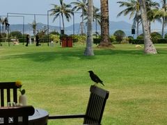 -宴悦海鲜餐厅·游水海鲜·牛排(亚龙湾瑞吉店)