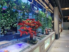 -川骄海鲜自助(河东店)