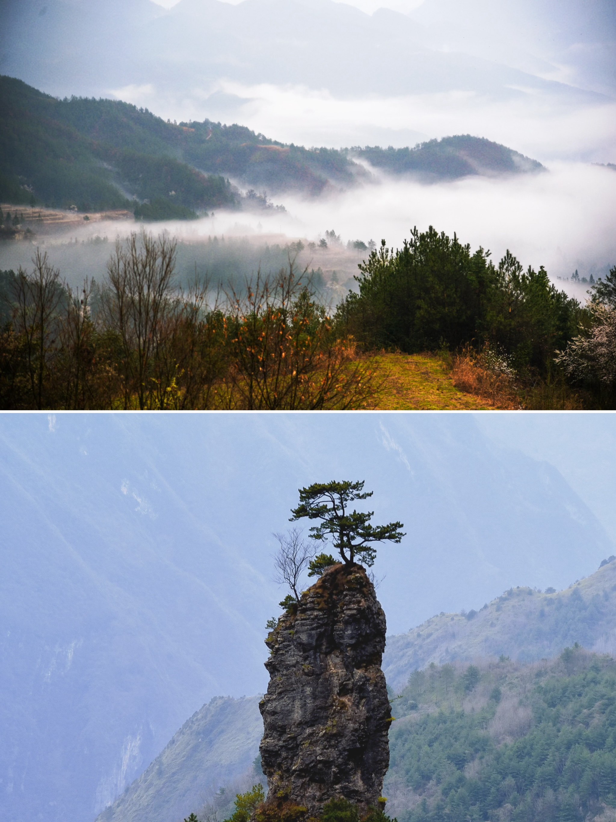 八台山风景区海拔高度图片