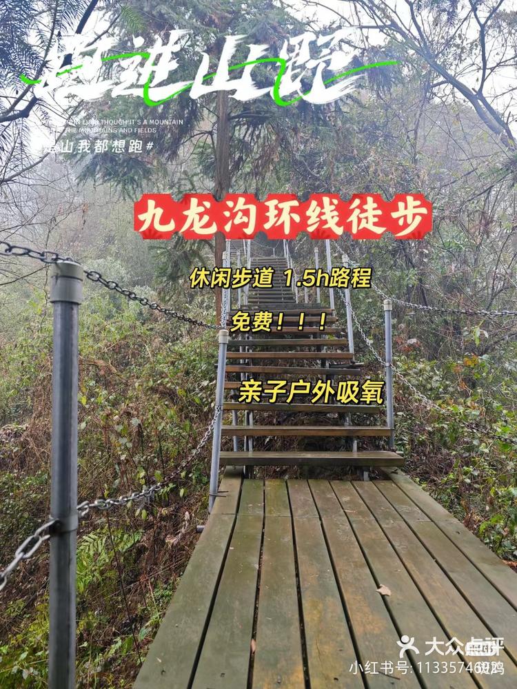 崇州九龙沟门票图片