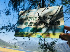 -罗坑大草原