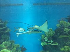 -福州罗源湾海洋世界旅游区