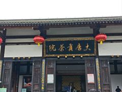 -大唐贡茶院