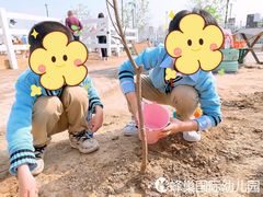 -天津蜂巢幼儿园·托育