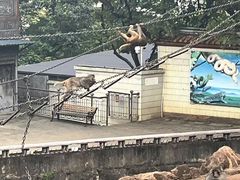 -昆明动物园