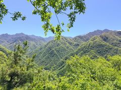 -陕西省红河谷森林公园
