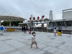 -碧海金沙