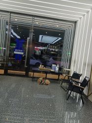 -艺剪堂