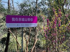 -天台山赤城山景区