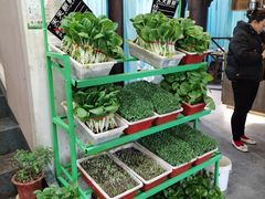 -金丰鱼庄(四团店)