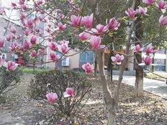 -福州大学(旗山校区)