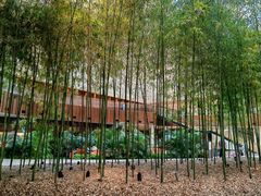 -北京望京凯悦酒店The Lounge大堂酒廊