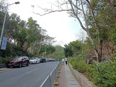 -梧桐山风景名胜区