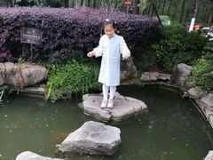 -合肥滨湖国家森林公园