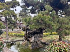 -洛阳古墓博物馆