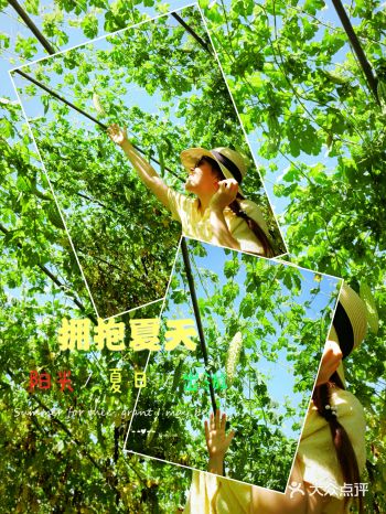 这个夏天和我一起浪起来！