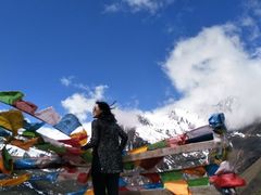 成都林佳-土桥手掌鸡·26年灌县老味道(都江堰店)