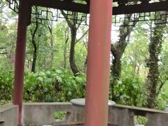 -上海市保健医疗中心