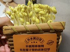 -巴奴毛肚火锅概念餐厅