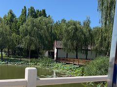 -白洋淀景区