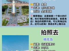 -日照海滨国家森林公园