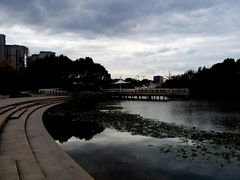 -新江湾城公园