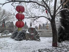 -大槐树寻根祭祖园