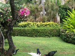 -三亚亚龙湾天域度假酒店