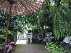 -Fern Forest Cafe