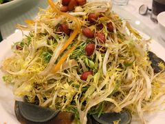 苦菊拌松花蛋-双井轩(双井店)