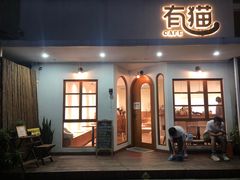 -有猫主题·治愈系猫咖(曾厝垵店)