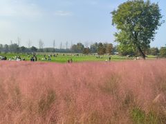 -汉长安城未央宫国家考古遗址公园