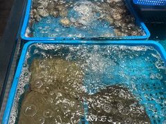 -盒马鲜生(王府广场店)