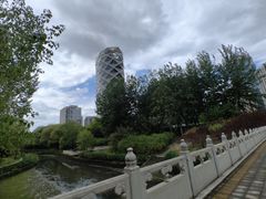 -大望京公园