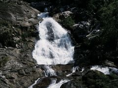 -海南热带雨林国家公园吊罗山景区