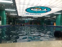 -Swim斯卫姆国际儿童游泳中心(红博中央公园店)