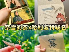 -奈雪的茶(花城汇中区PRO店)