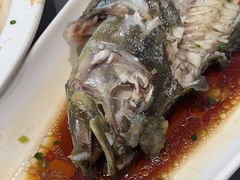 -阿毛饭店·宁波老字号(儿童公园旗舰店)