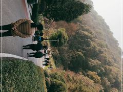 -桃花岭景区