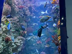 -海合安青岛极地海洋公园