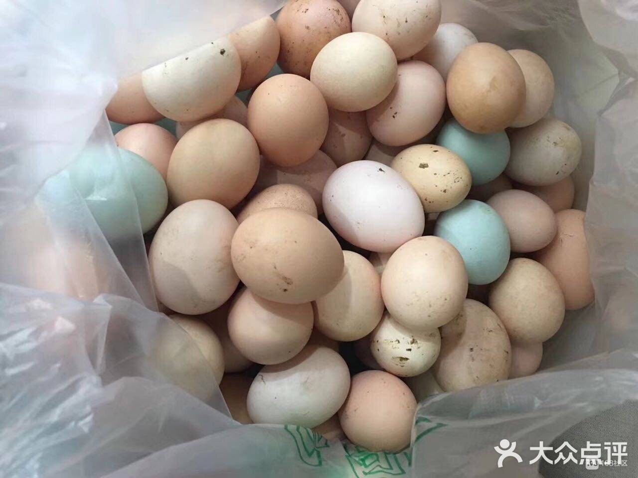 温州土鸡蛋